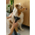 Gorenje Odkurzacz pionowy NEO Deep SVC259449NDCO - 1504287 - zdjęcie 10